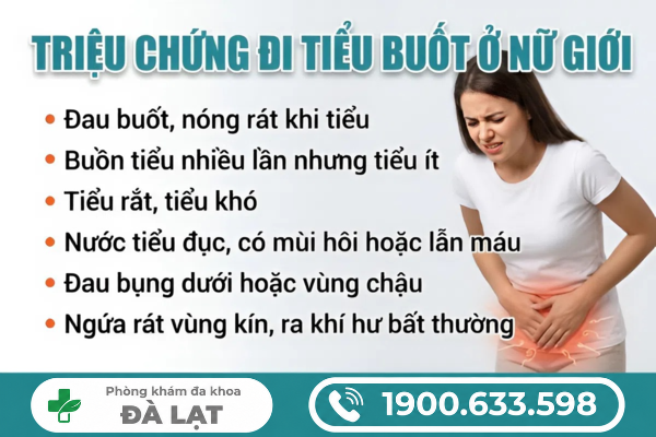 Hình ảnh minh họa